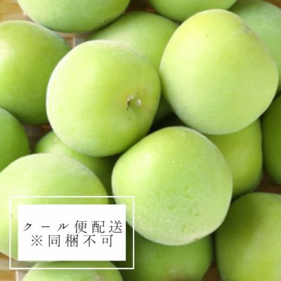 青梅（生梅）予約注文 - てらがき農園