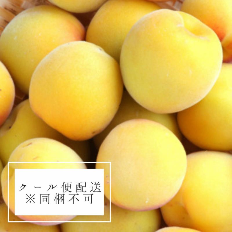 最安プラン プロ仕様】超完熟梅（梅干用）30kg [送料込] | てらがき農園 果物