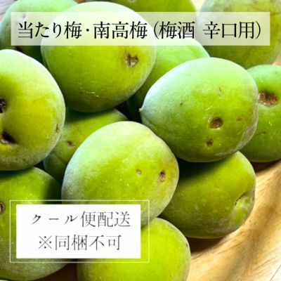 青梅（生梅）予約注文 - てらがき農園