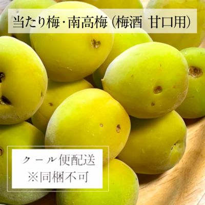 無農薬南高梅 約1kg ～和歌山県産：青梅～ | oike no MADO